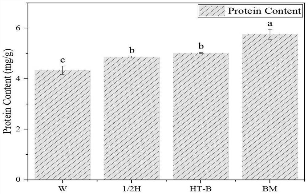 Bacillus cereus, lettuce microbial fertilizer as well as preparation method and application of bacillus cereus and lettuce microbial fertilizer