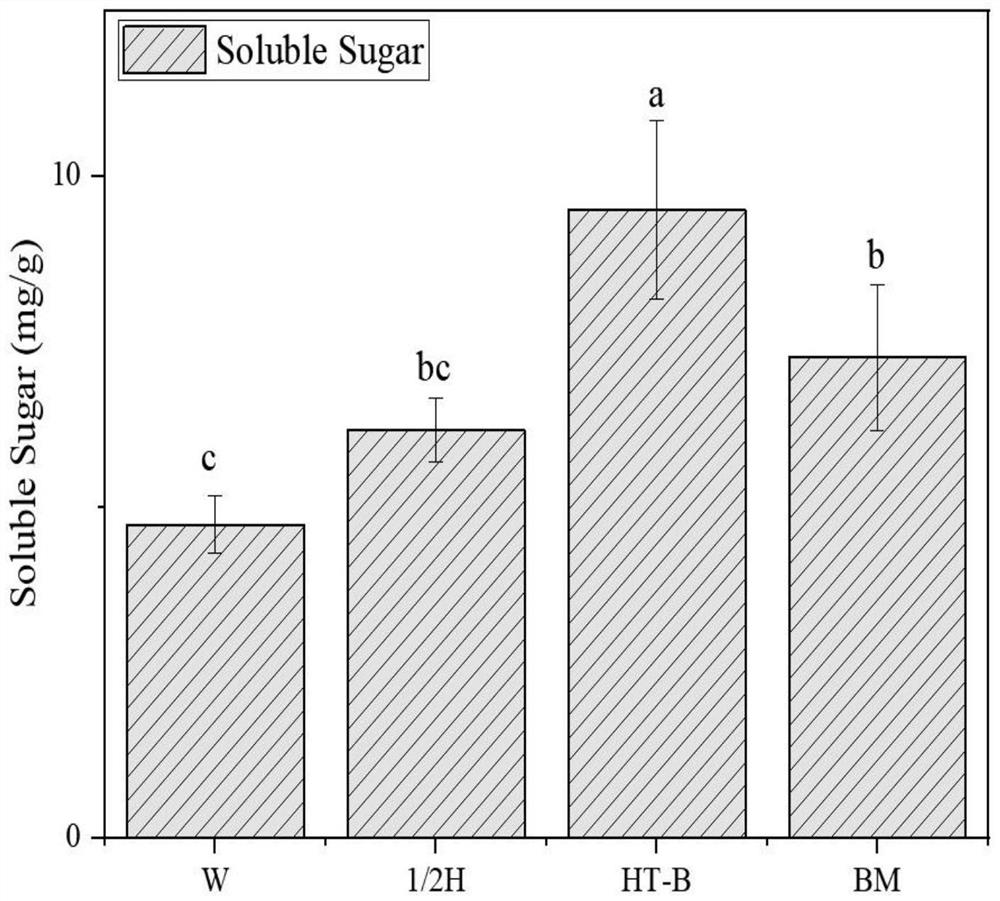 Bacillus cereus, lettuce microbial fertilizer as well as preparation method and application of bacillus cereus and lettuce microbial fertilizer