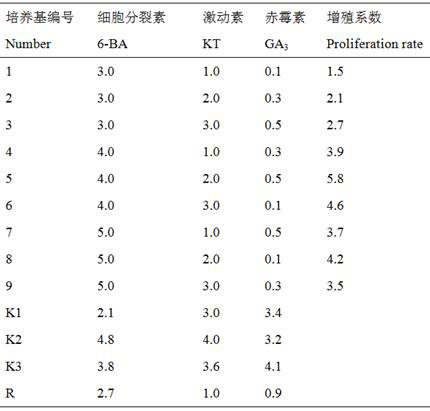 A kind of subculture medium formula of pearl cassia osmanthus tissue culture seedlings and its application