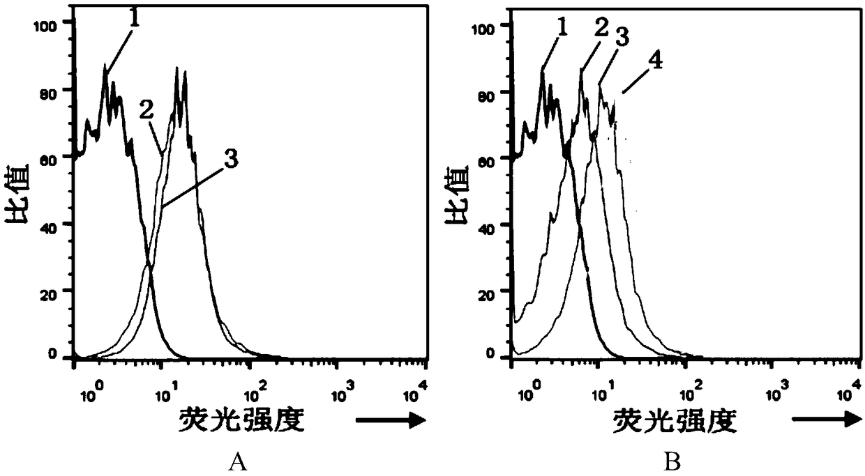 Antitumor drug and acting target thereof