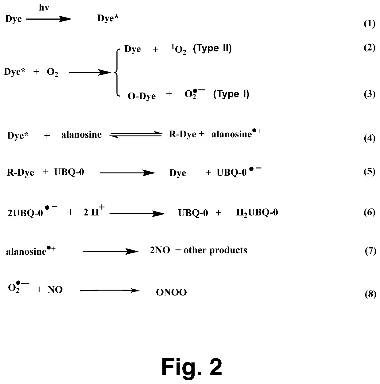 Photosensitized release of nitric oxide