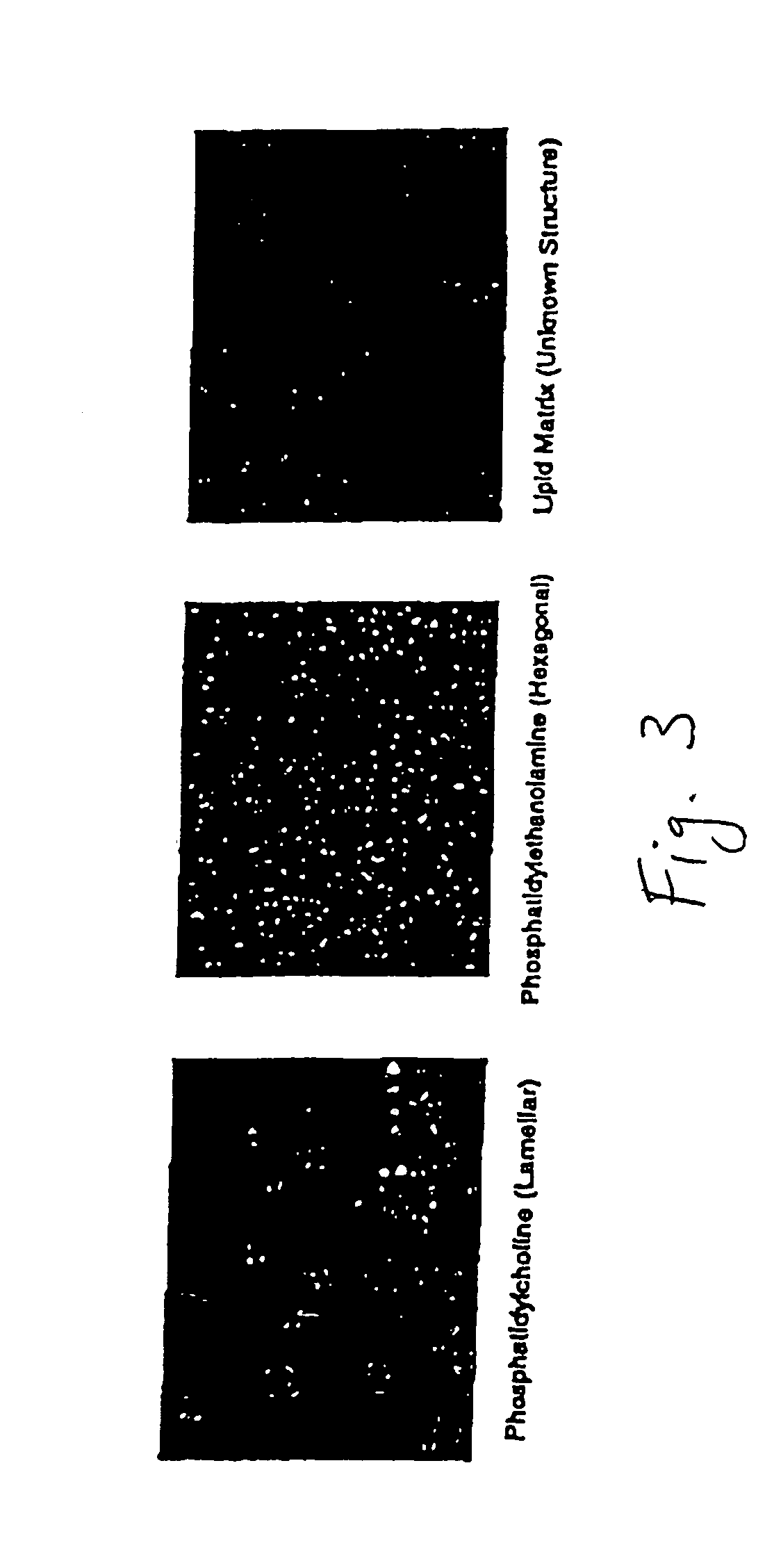 Modification of solid 3-sn-phosphoglycerides