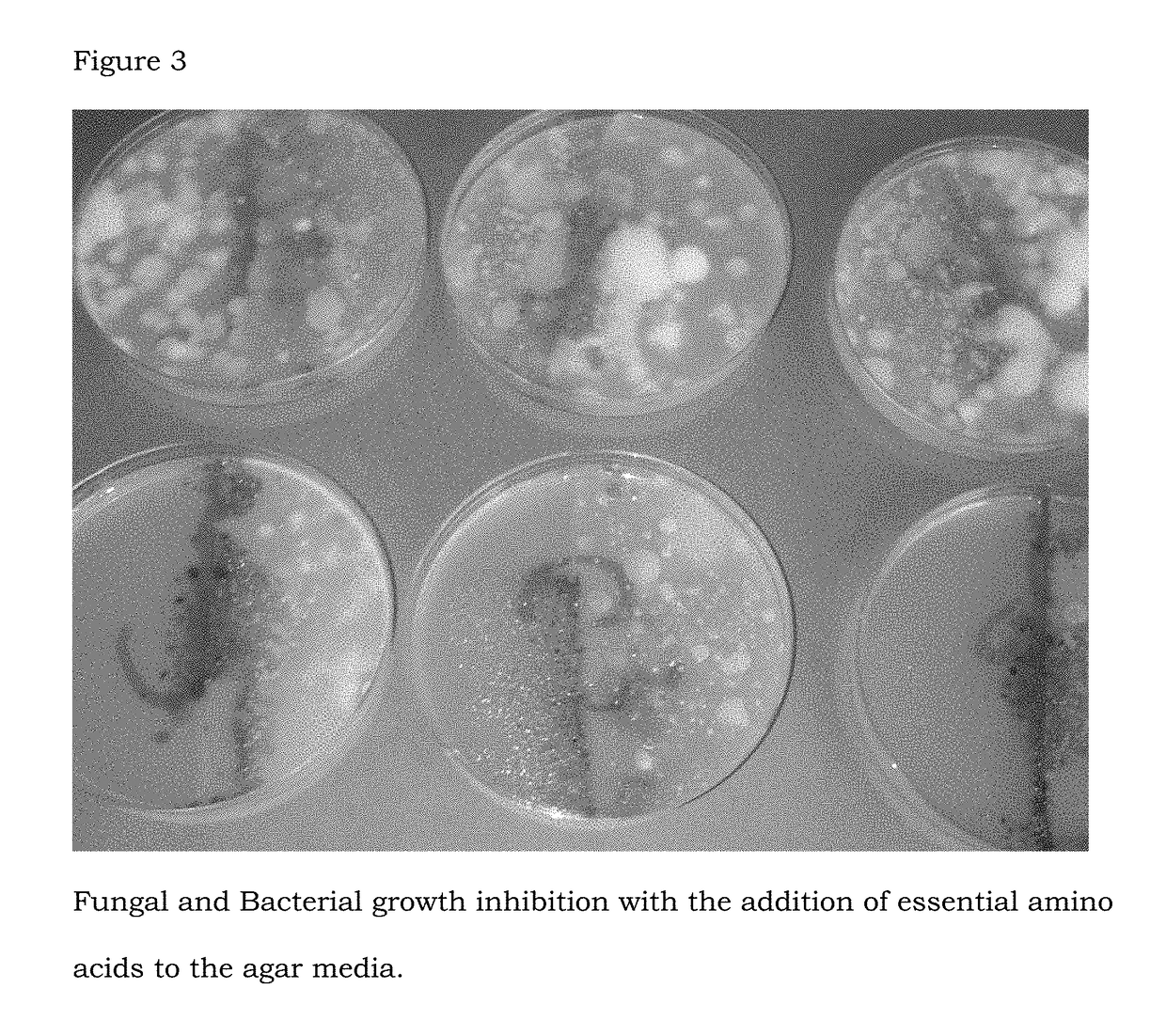 Method for amelioration of the glyphosate effect