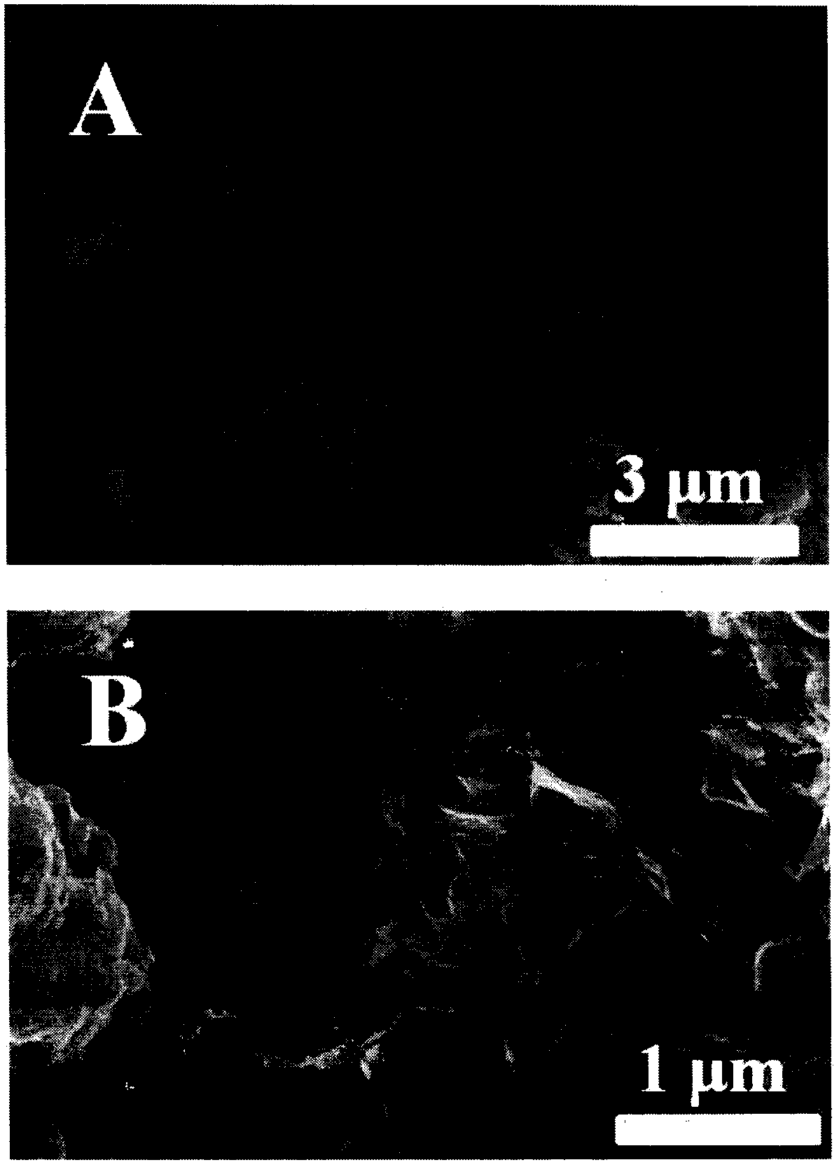 WS2/ZnIn2S4 composite visible light catalyst and preparation method thereof