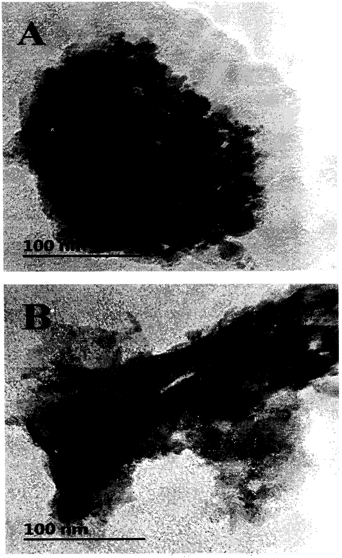 WS2/ZnIn2S4 composite visible light catalyst and preparation method thereof