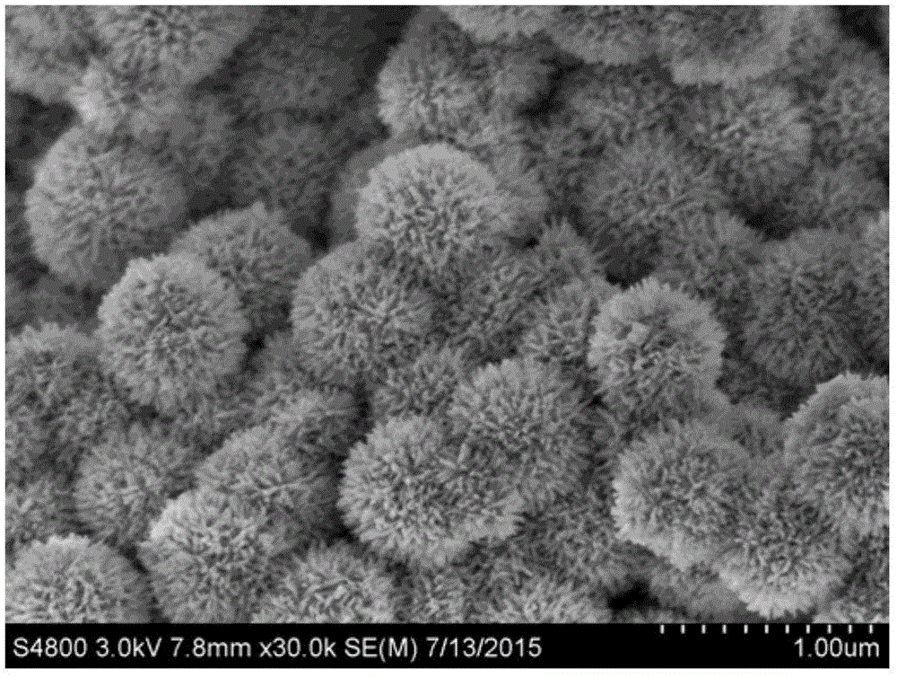 Sea-urchin-like three-dimensional Fe3O4/SnO2 nanorod array and synthetic method and application thereof