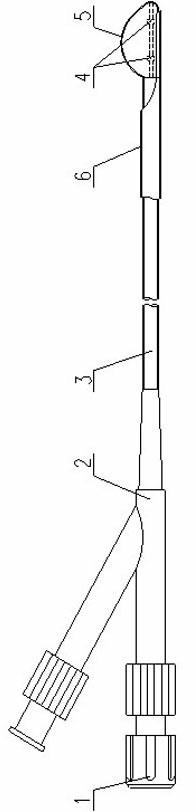 Vertebral oriented dilated balloon catheter