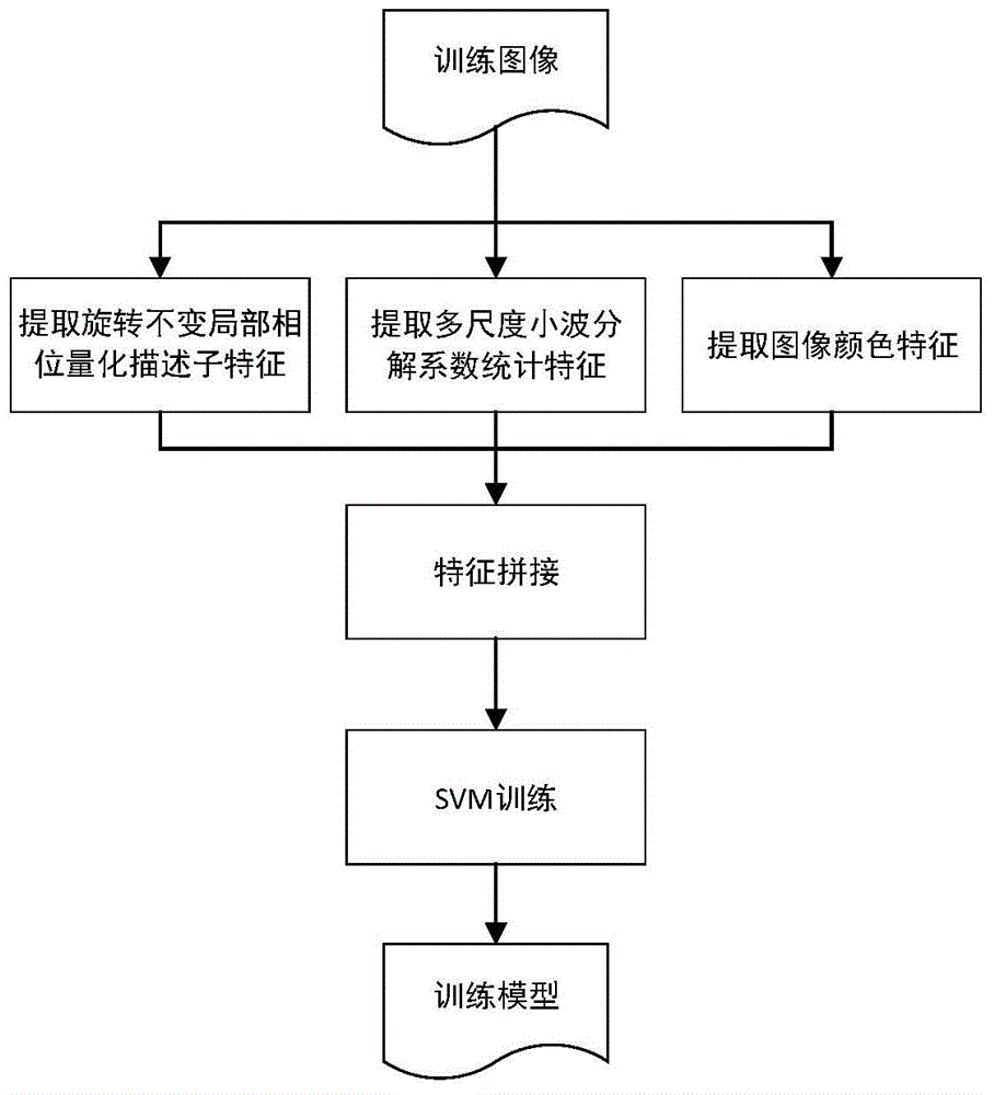 Multi-feature fusion based image copying detection method