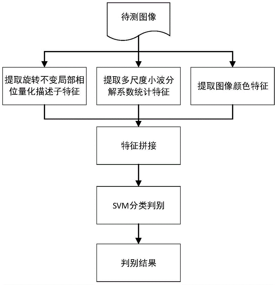 Multi-feature fusion based image copying detection method