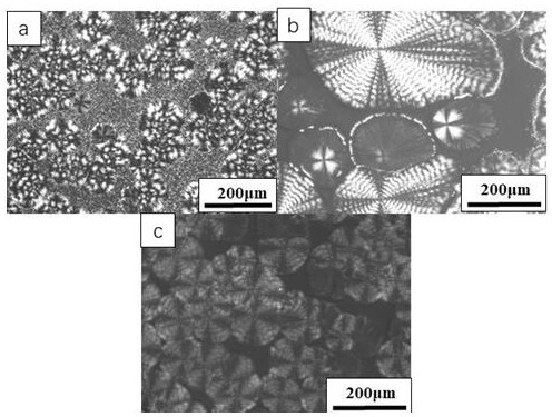 A γ-type polyvinylidene fluoride/polybutylene adipate composite material and preparation method thereof