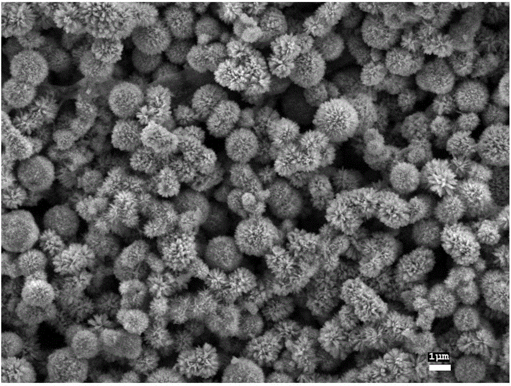 Porous sea-urchin-shaped Fe3O4@C composite material and preparation method thereof