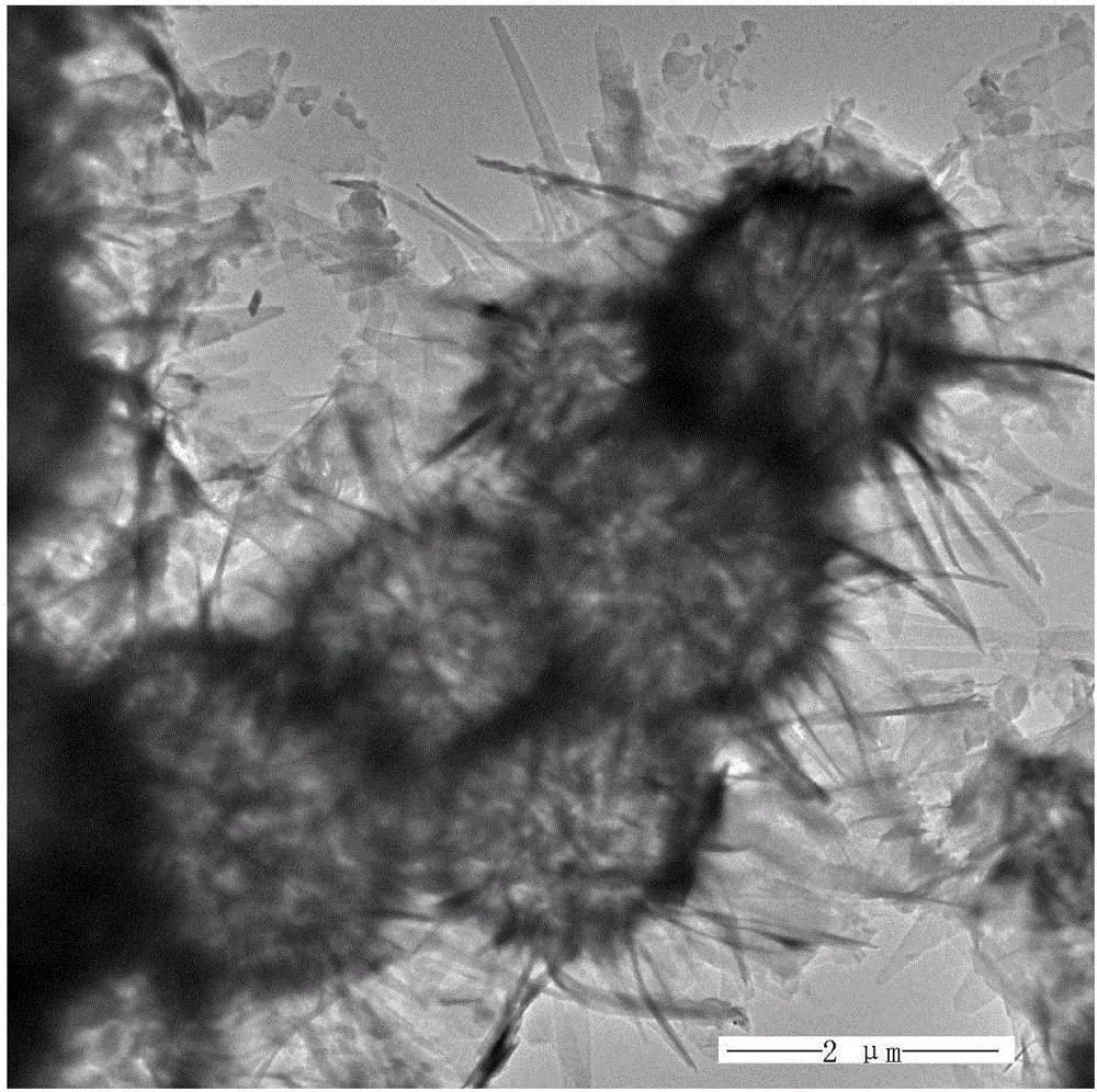 Porous sea-urchin-shaped Fe3O4@C composite material and preparation method thereof