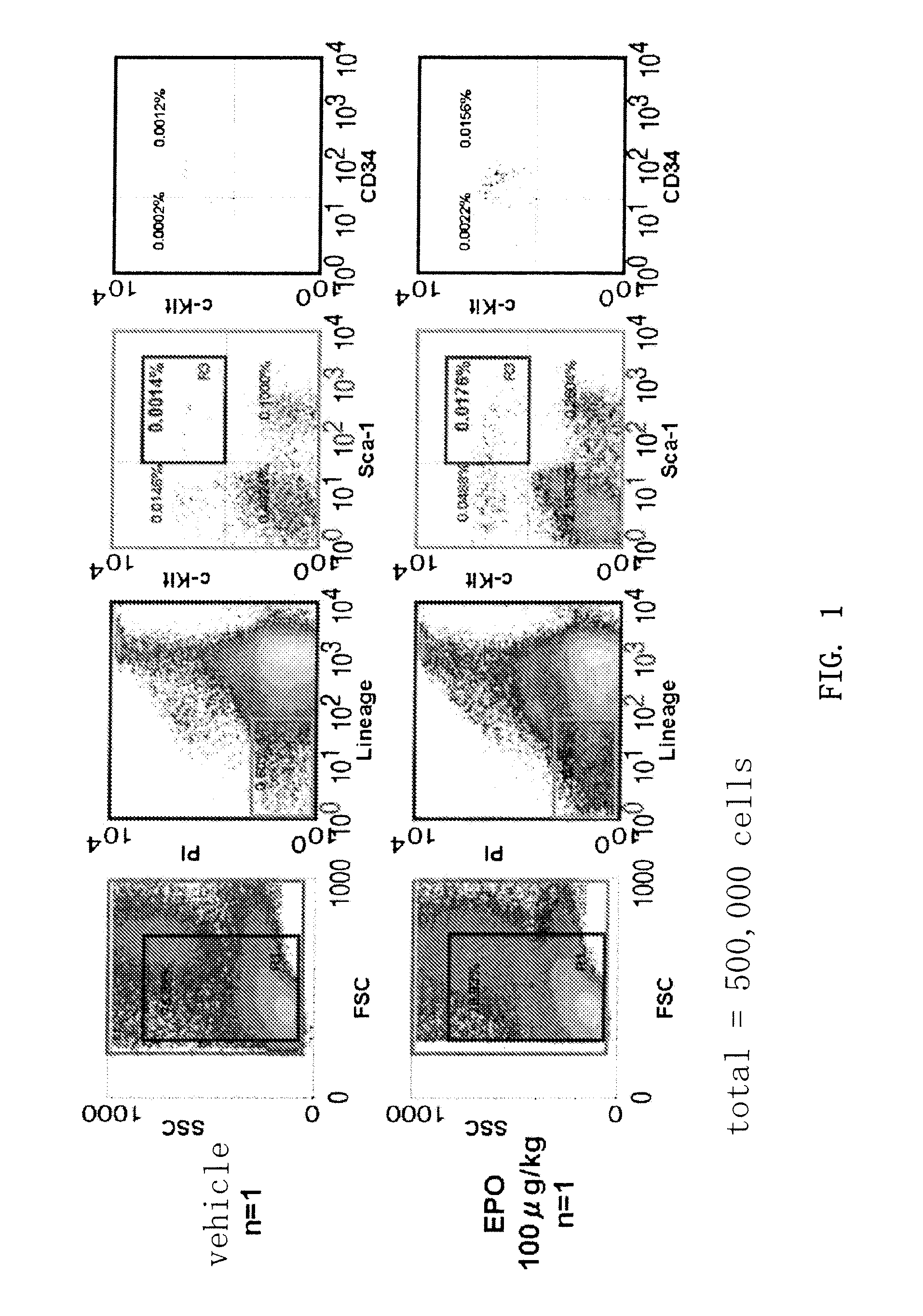 Treatment of Ischemic Diseases Using Erythropoietin