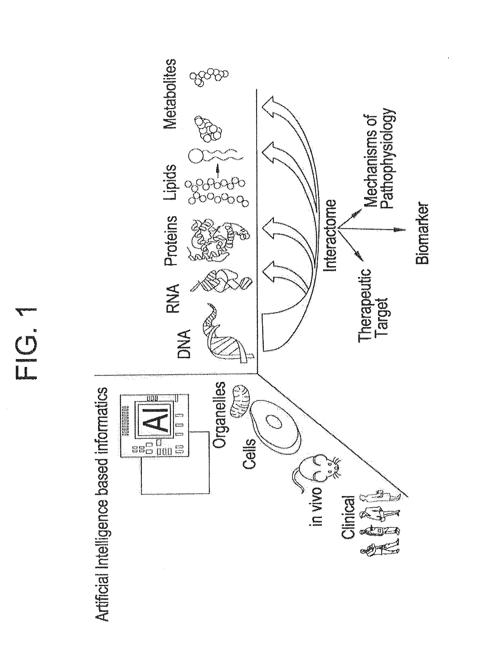 Use of markers including filamin a in the diagnosis and treatment of prostate cancer