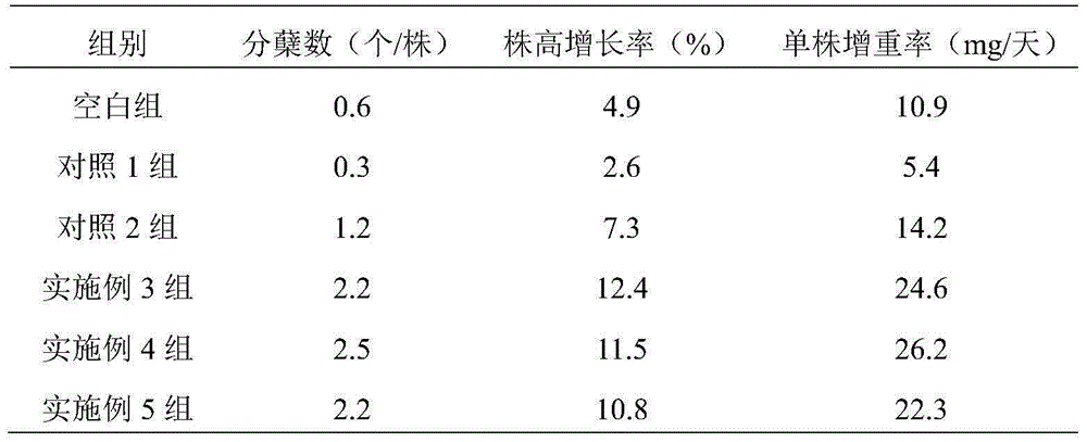 Moisture and illumination managing method for promoting growth of tillandsia