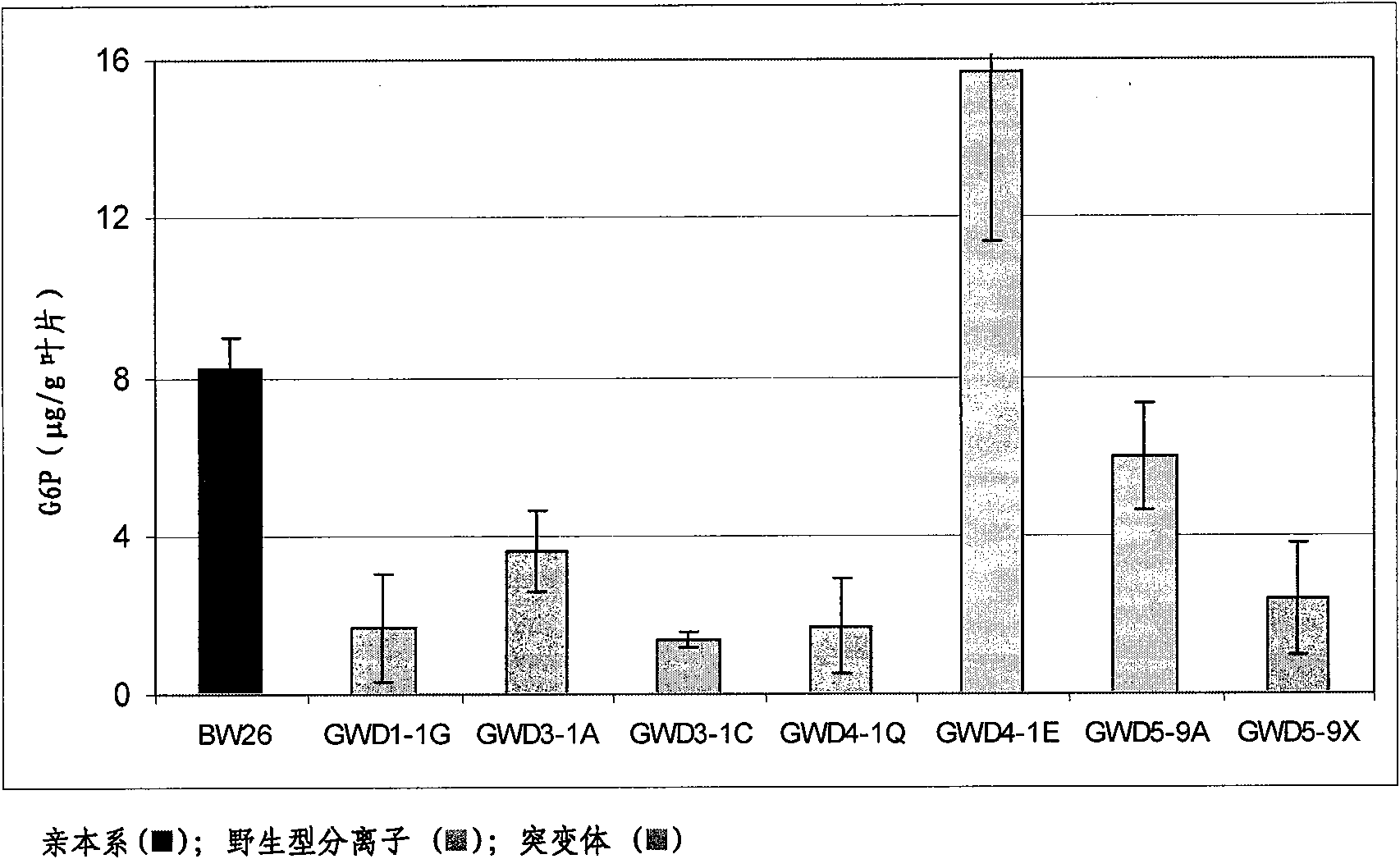 Plants with modified starch metabolism