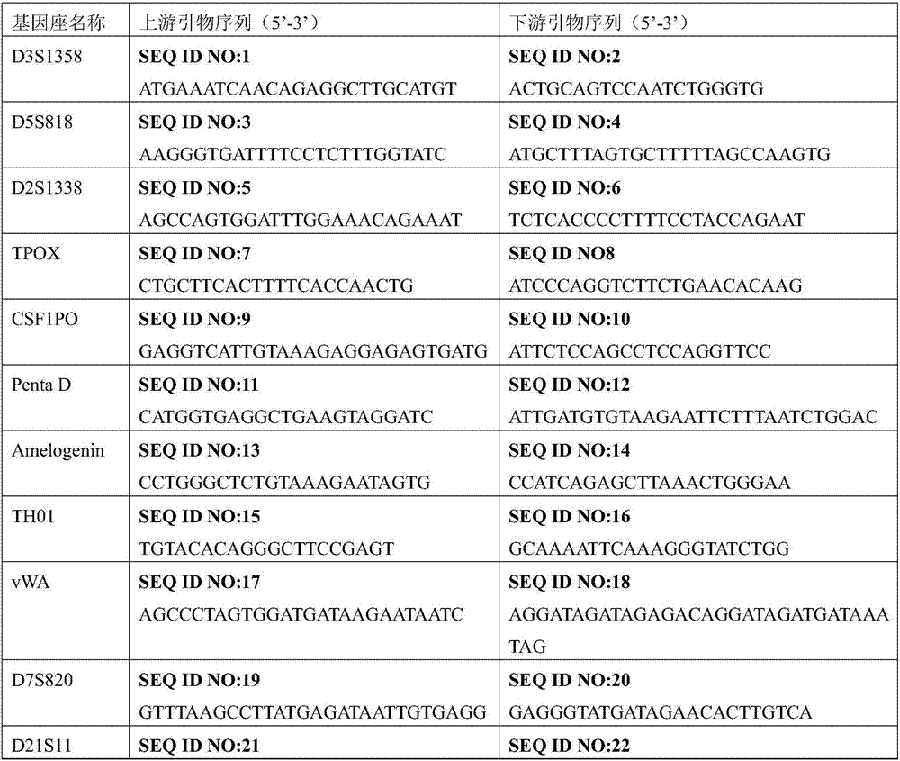 Composite amplification method and kit for 22 short tandem repeats (STR)