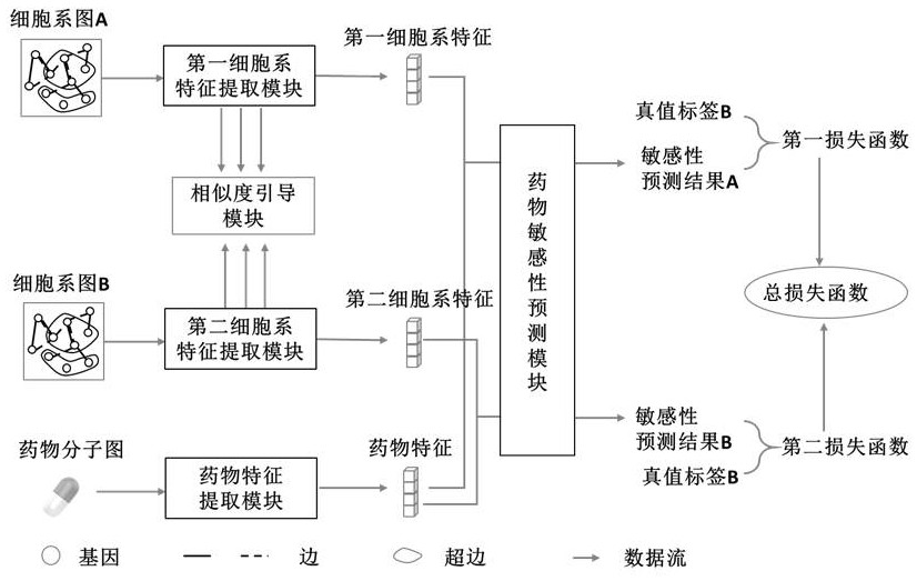 Drug sensitivity prediction method and device based on multi-omics similarity guidance