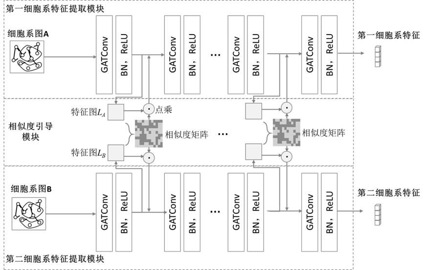 Drug sensitivity prediction method and device based on multi-omics similarity guidance