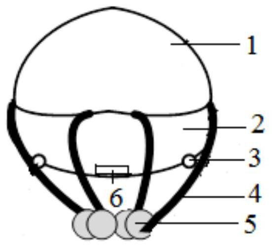 A bionic aerostat based on jellyfish