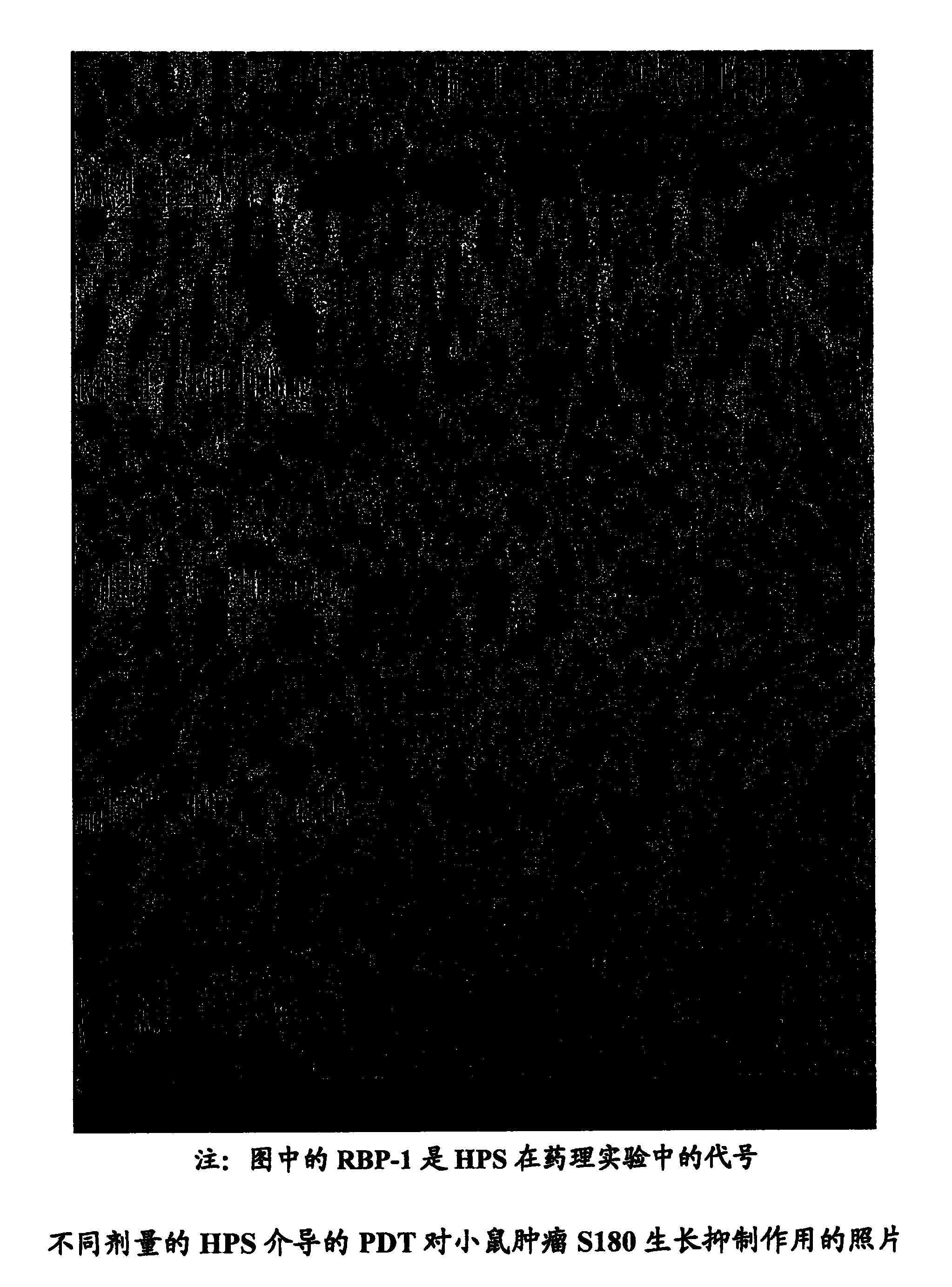 2-(1-n-hexyloxy)ethylchlorin f salt, and pharmaceutical composition and application thereof