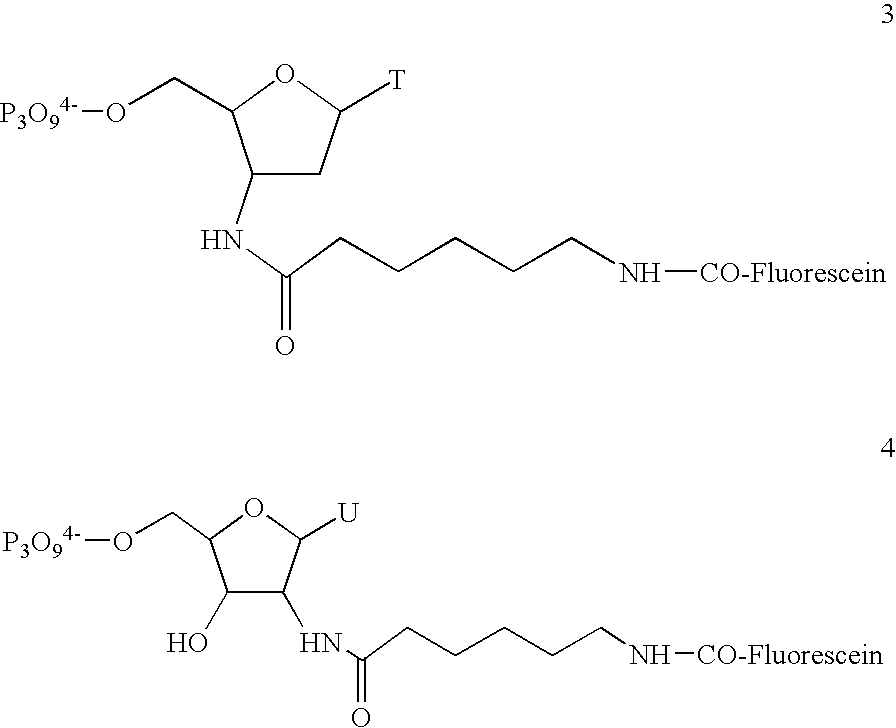 Nucleic acid analysis techniques