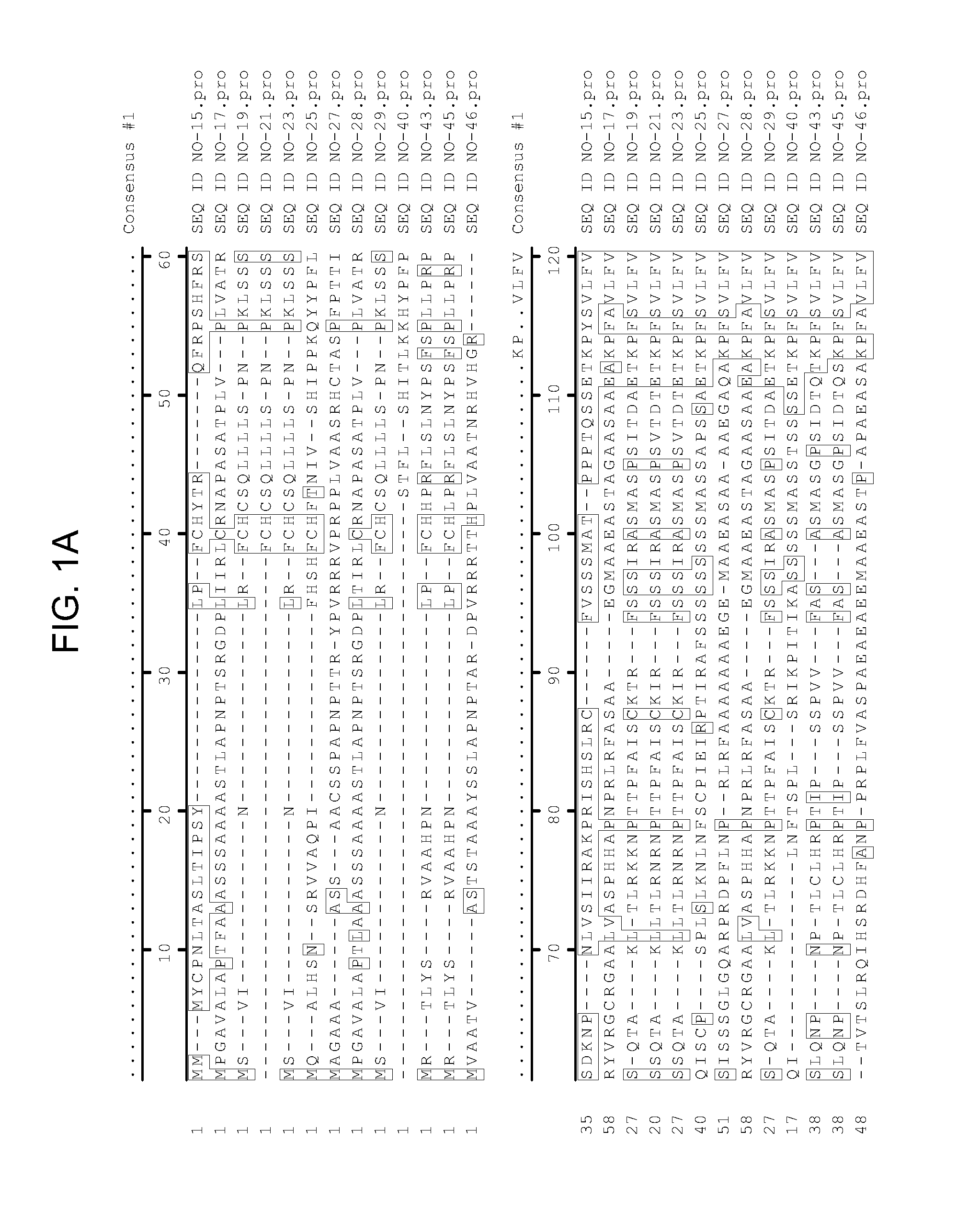 Drought tolerant plants and related constructs and methods involving genes encoding protein tyrosine phosphatases