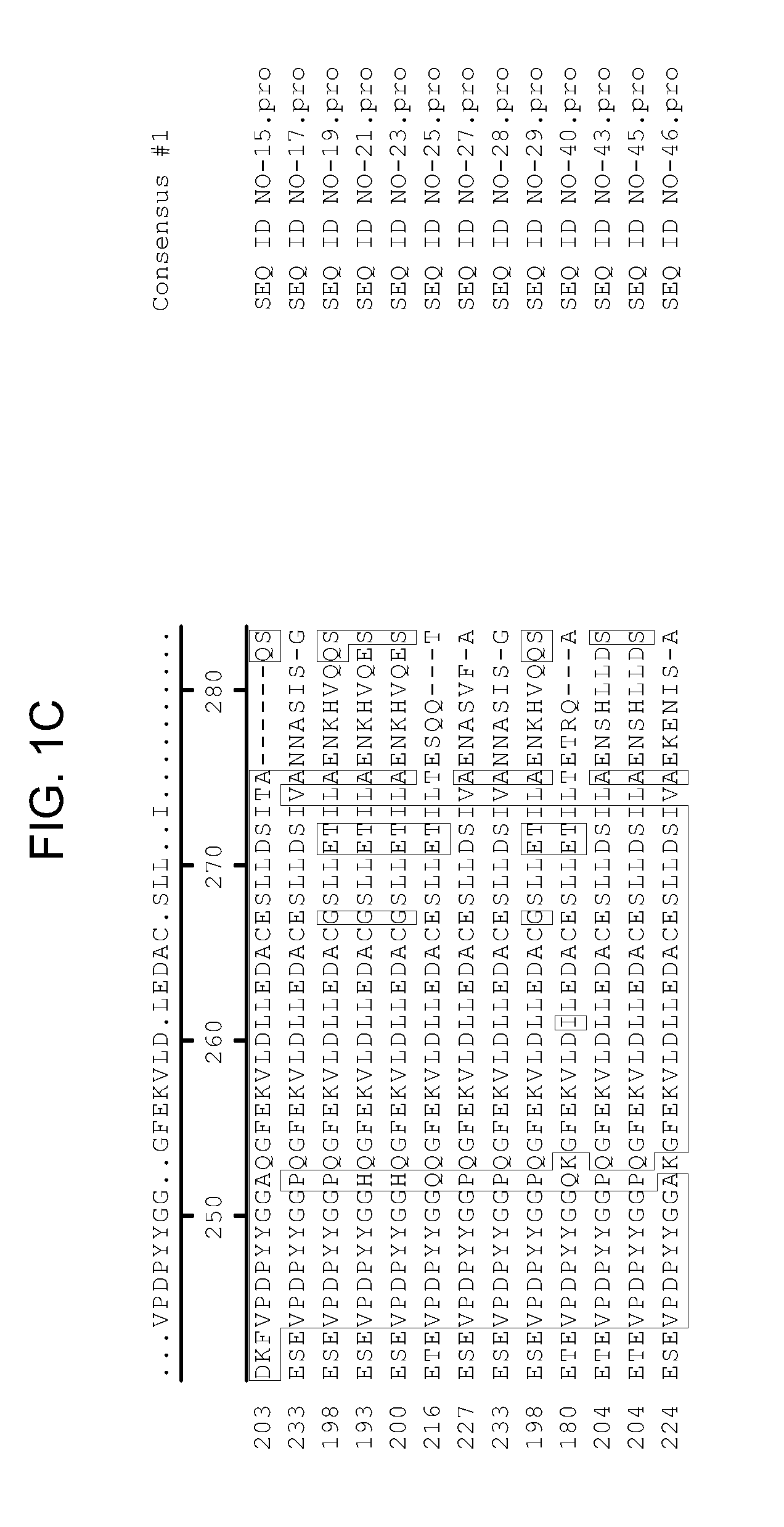 Drought tolerant plants and related constructs and methods involving genes encoding protein tyrosine phosphatases