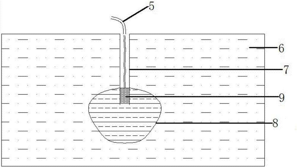 Penetration accelerating device suitable for in-situ leaching of ion-type rare earth mine