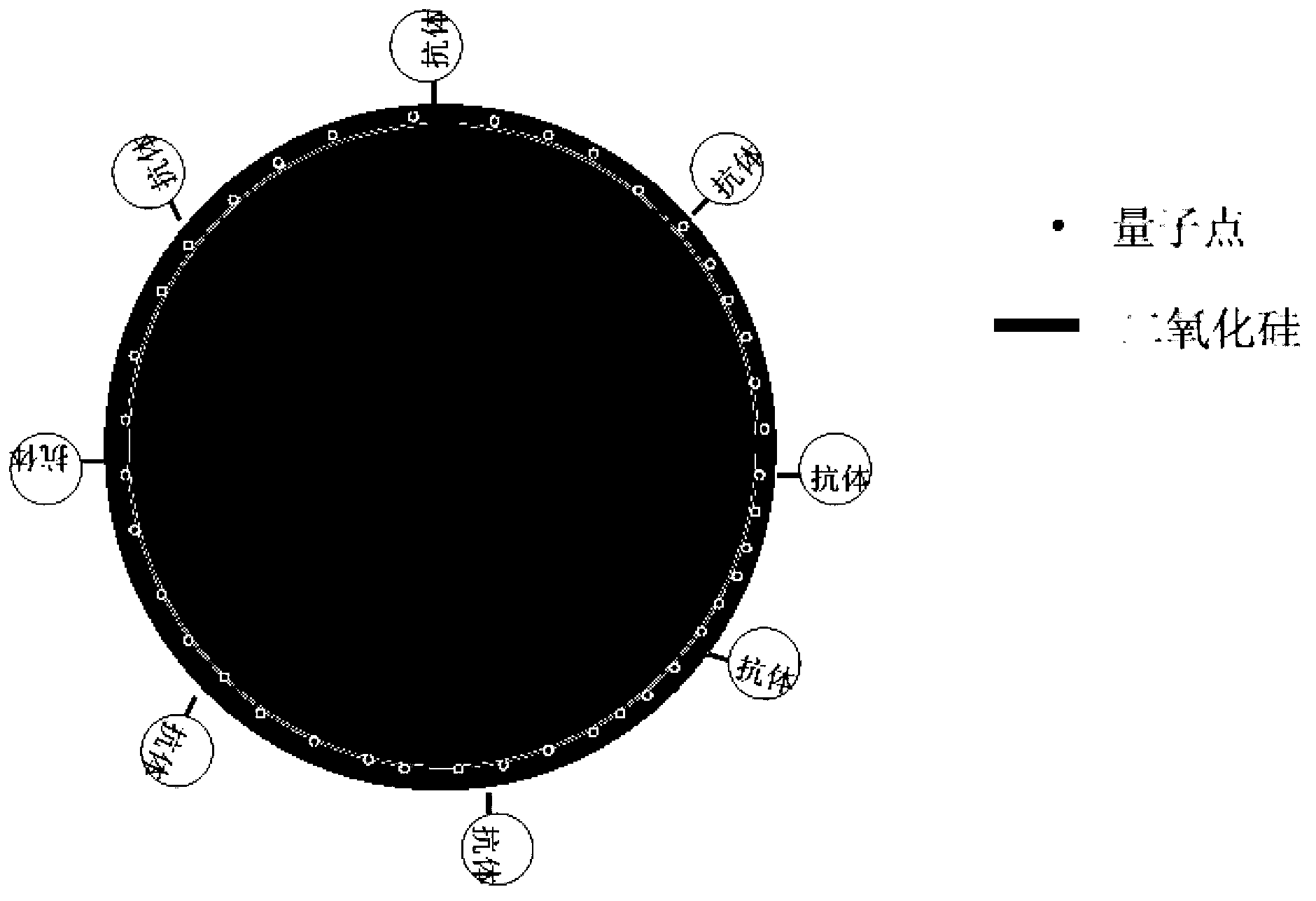 High-brightness non-toxic fluorescent quantum dot nanometer composite probe and preparation method thereof