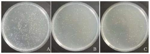 Zero-background multi-fragment gene efficient assembling method