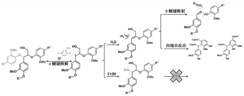 A method for separating highly active lignin from agricultural and forestry biomass