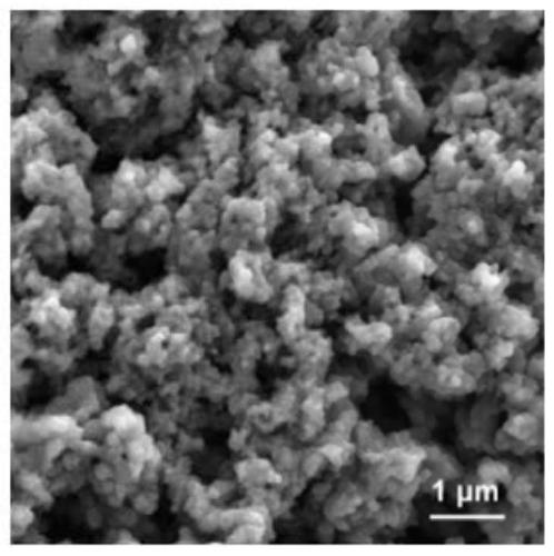 Polyaniline functionalized graphene conductive ink and preparation method thereof