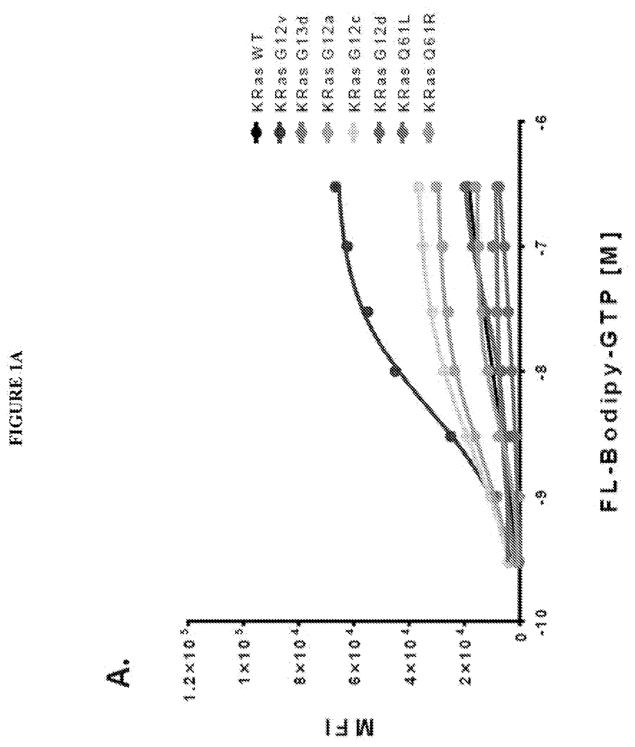 DISCOVERY OF NOVEL MOLECULES AND REPURPOSED DRUGS FOR RAS FAMILY GTPases