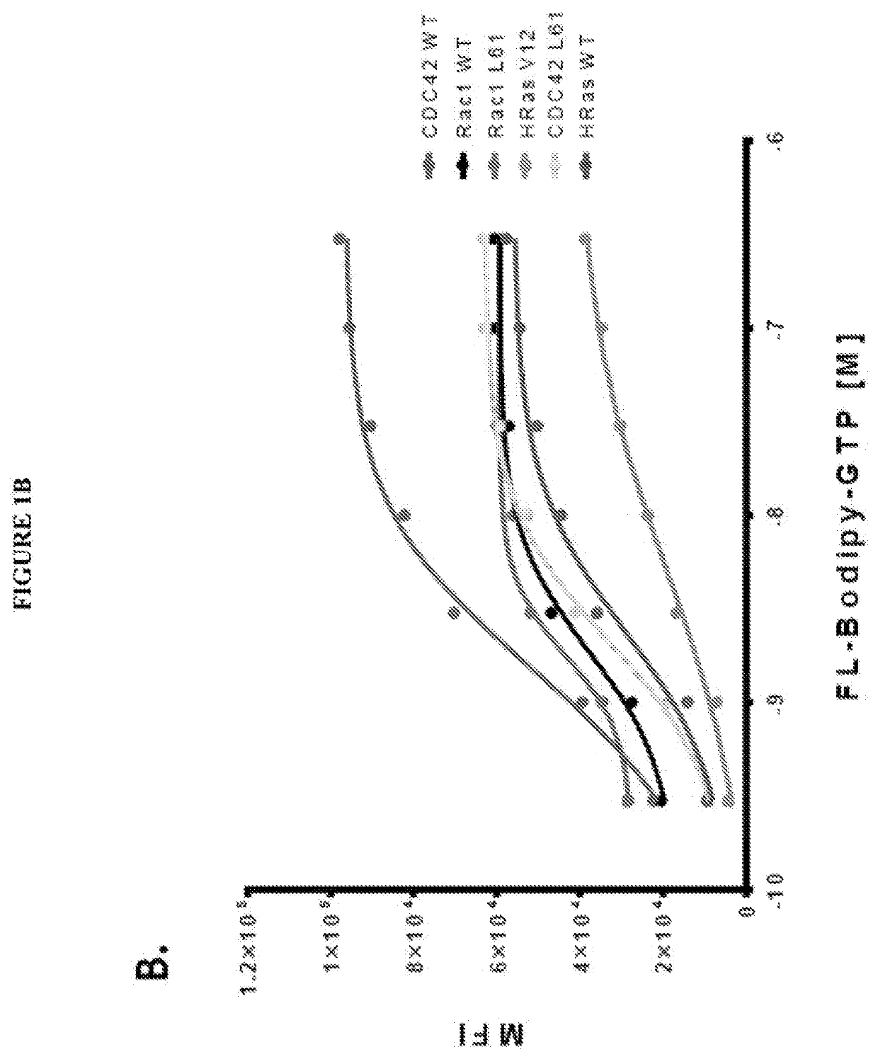 DISCOVERY OF NOVEL MOLECULES AND REPURPOSED DRUGS FOR RAS FAMILY GTPases