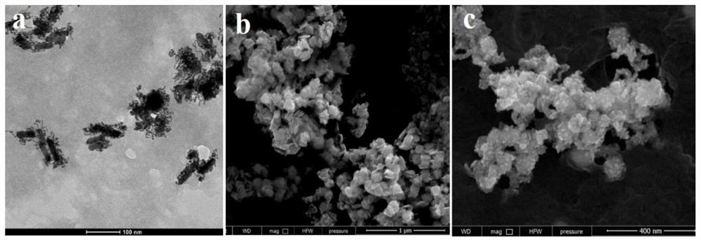 Adjustable gold nanostructure as well as preparation method and application thereof