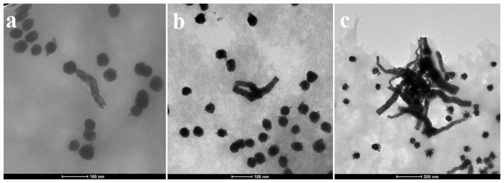 Adjustable gold nanostructure as well as preparation method and application thereof