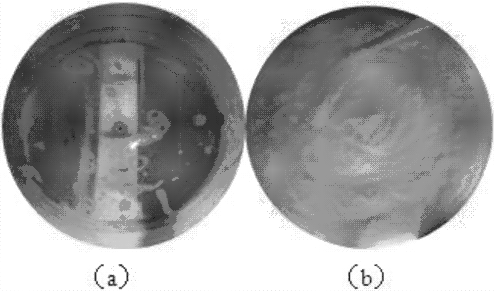 Chlortetracycline hydrochloride soluble powder and preparation method thereof