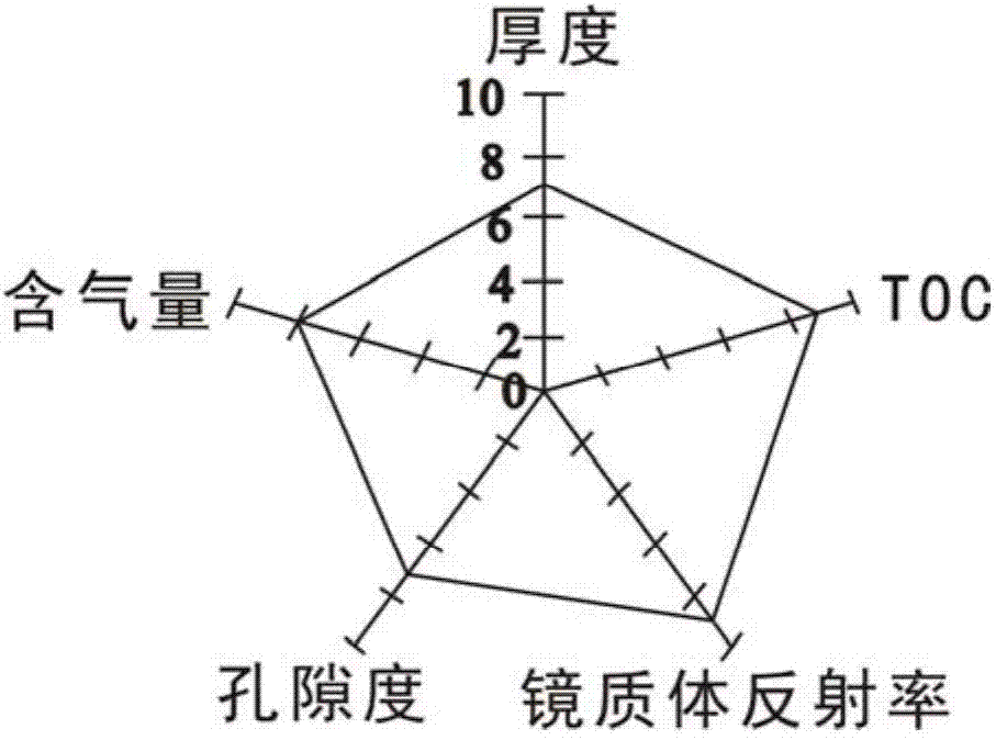 Shale gas reservoir stratum exploration method and device