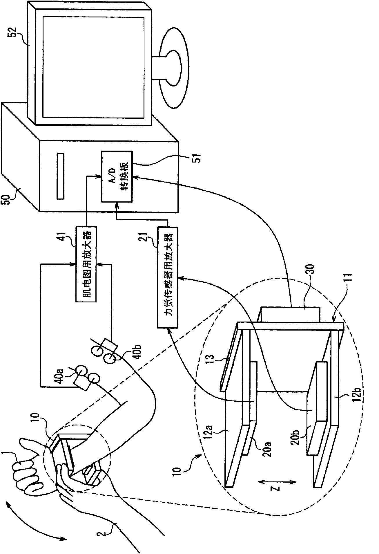 Muscle tone measuring apparatus