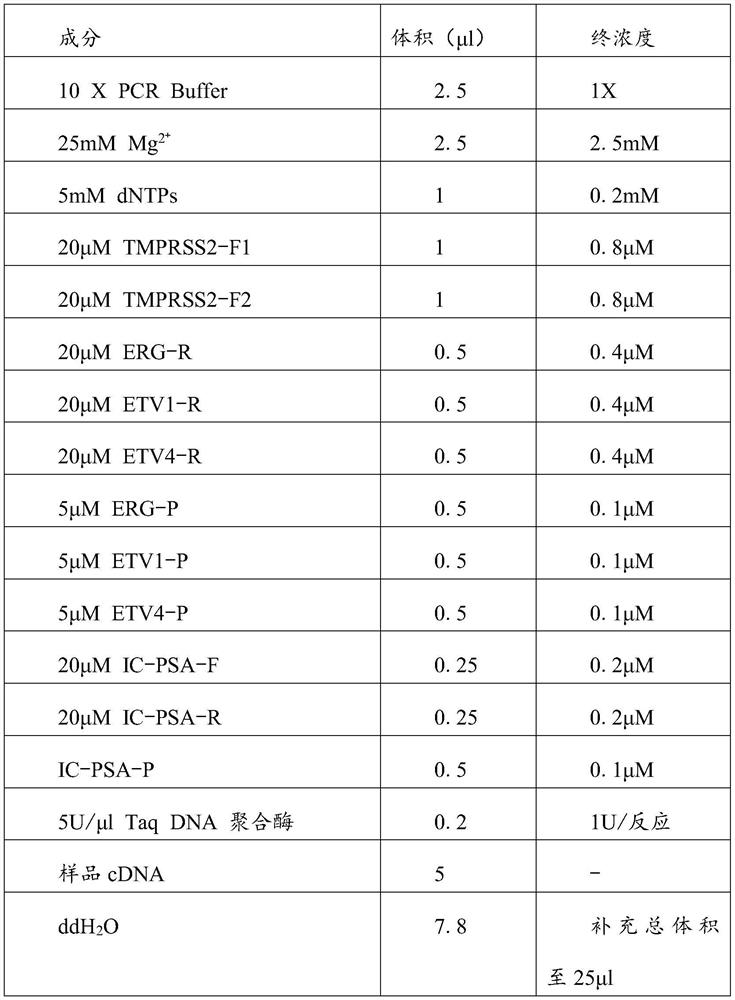 Multiplex fluorescence PCR kit for detecting prostate cancer