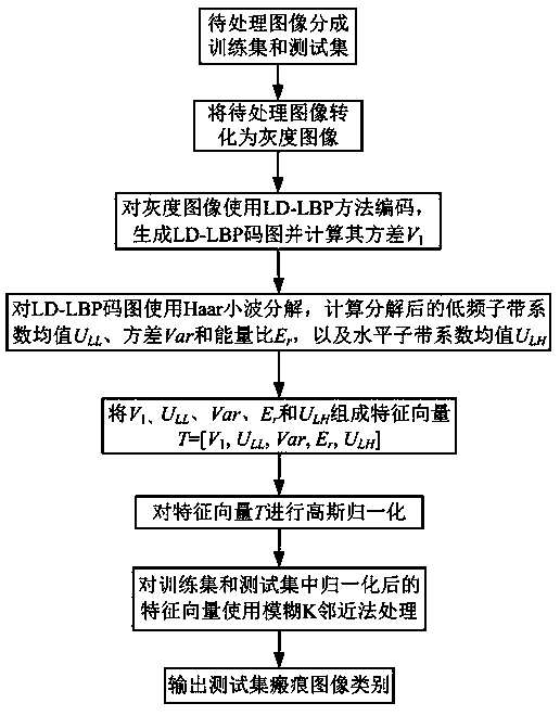 Skin scar diagnosis method based on secondary harmonic image texture analysis