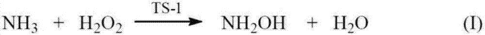 Method for generating hydroxylamine by cyclohexanone-oxime through hydrolyzing