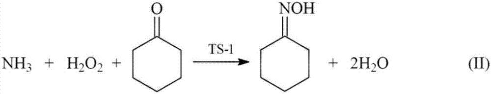 Method for generating hydroxylamine by cyclohexanone-oxime through hydrolyzing