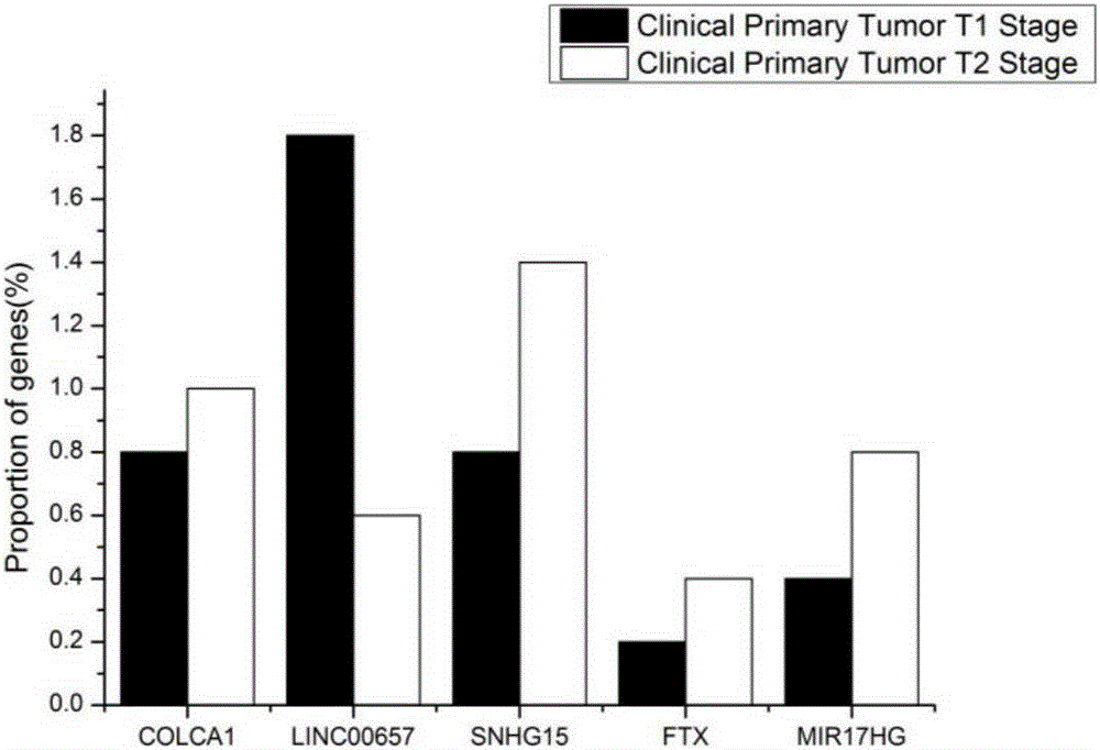 LncRNA and application thereof as prostatic cancer detection marker or prostatic cancer prognosis recurrence marker