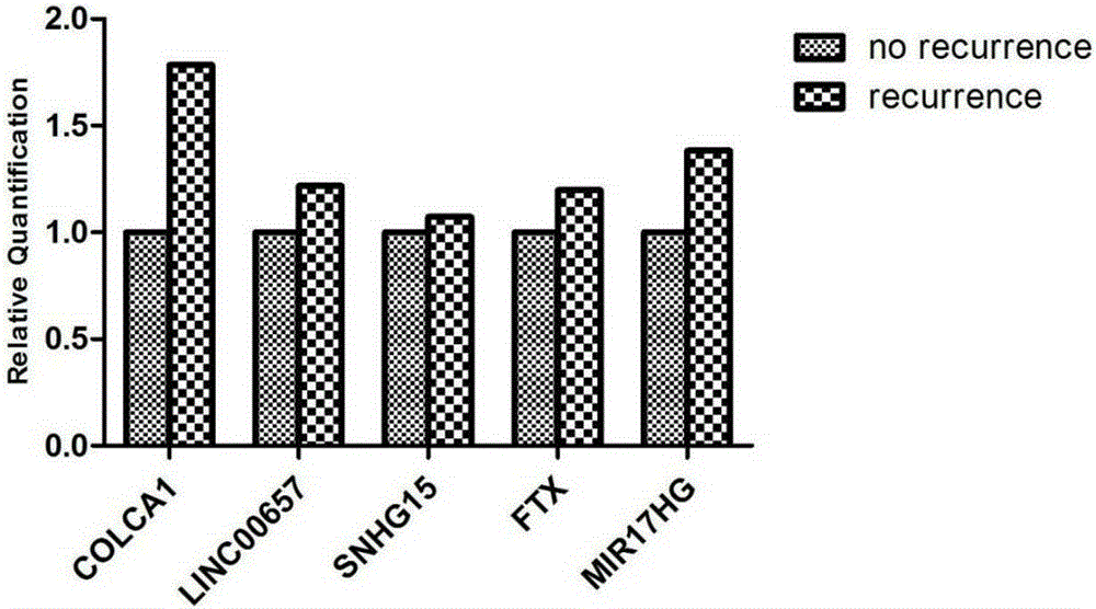 LncRNA and application thereof as prostatic cancer detection marker or prostatic cancer prognosis recurrence marker