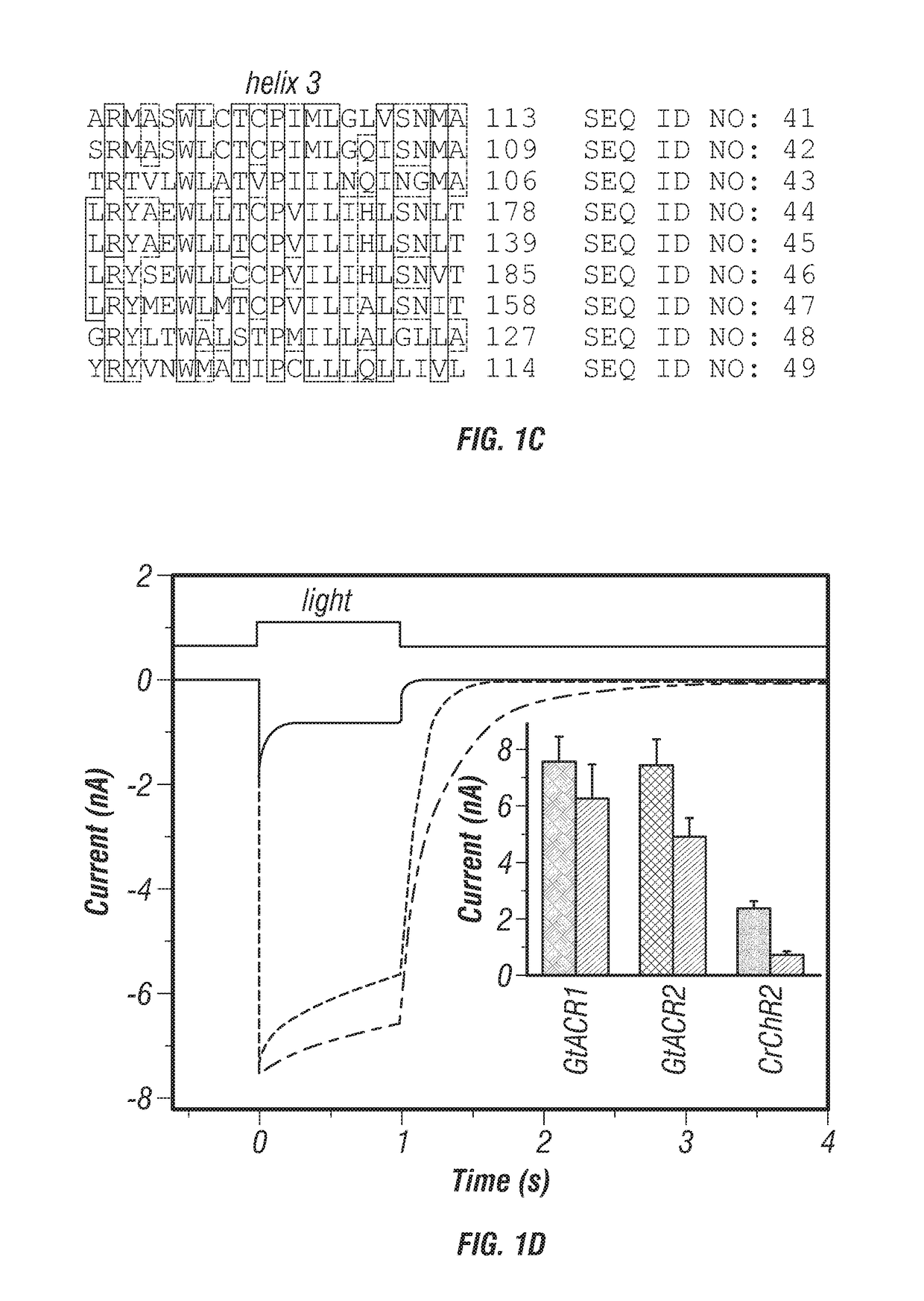 Compositions and methods for use of anion channel rhodopsins