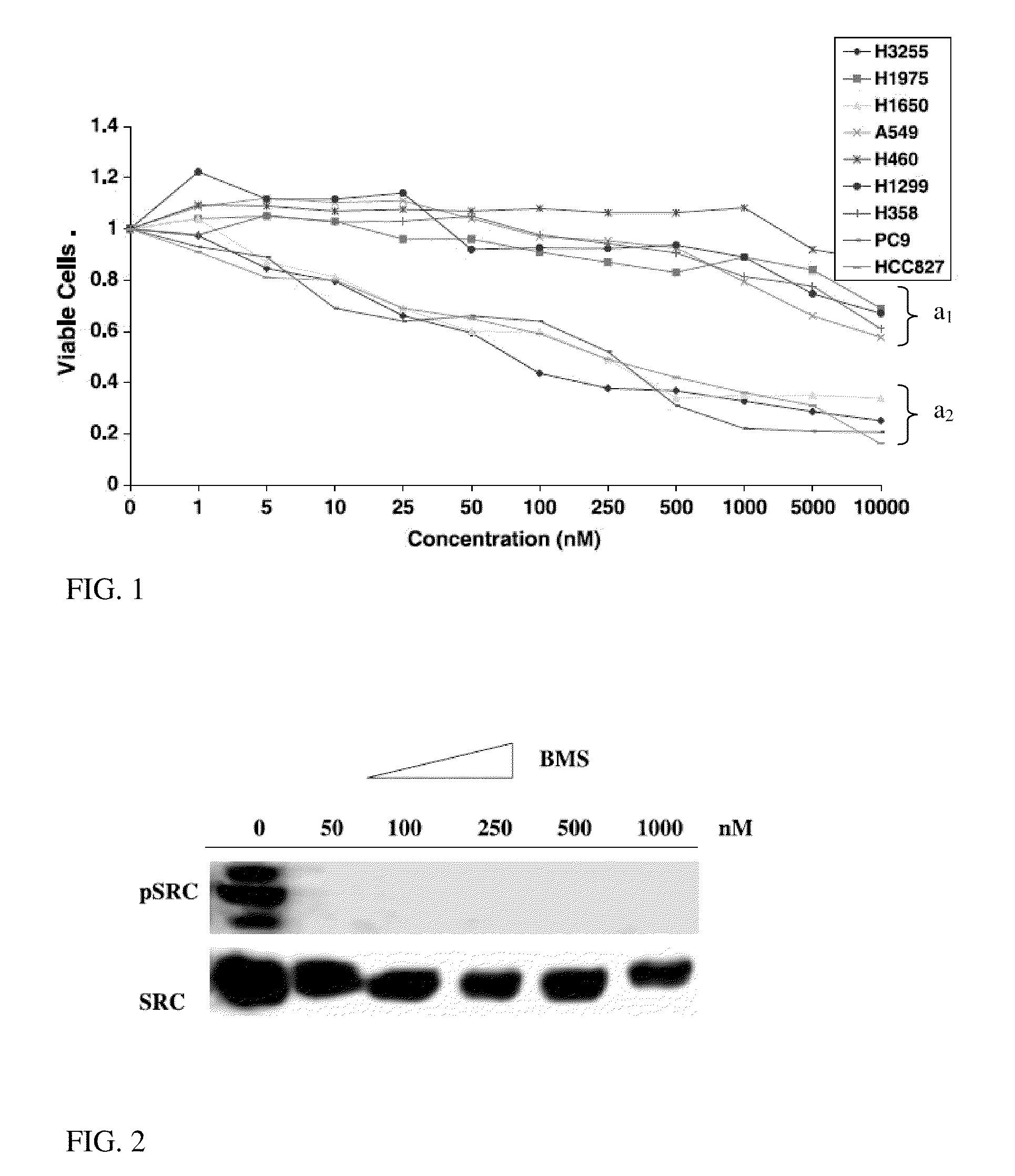 Identification of Biomarkers Predictive of Dasatinib Effects in Cancer Cells