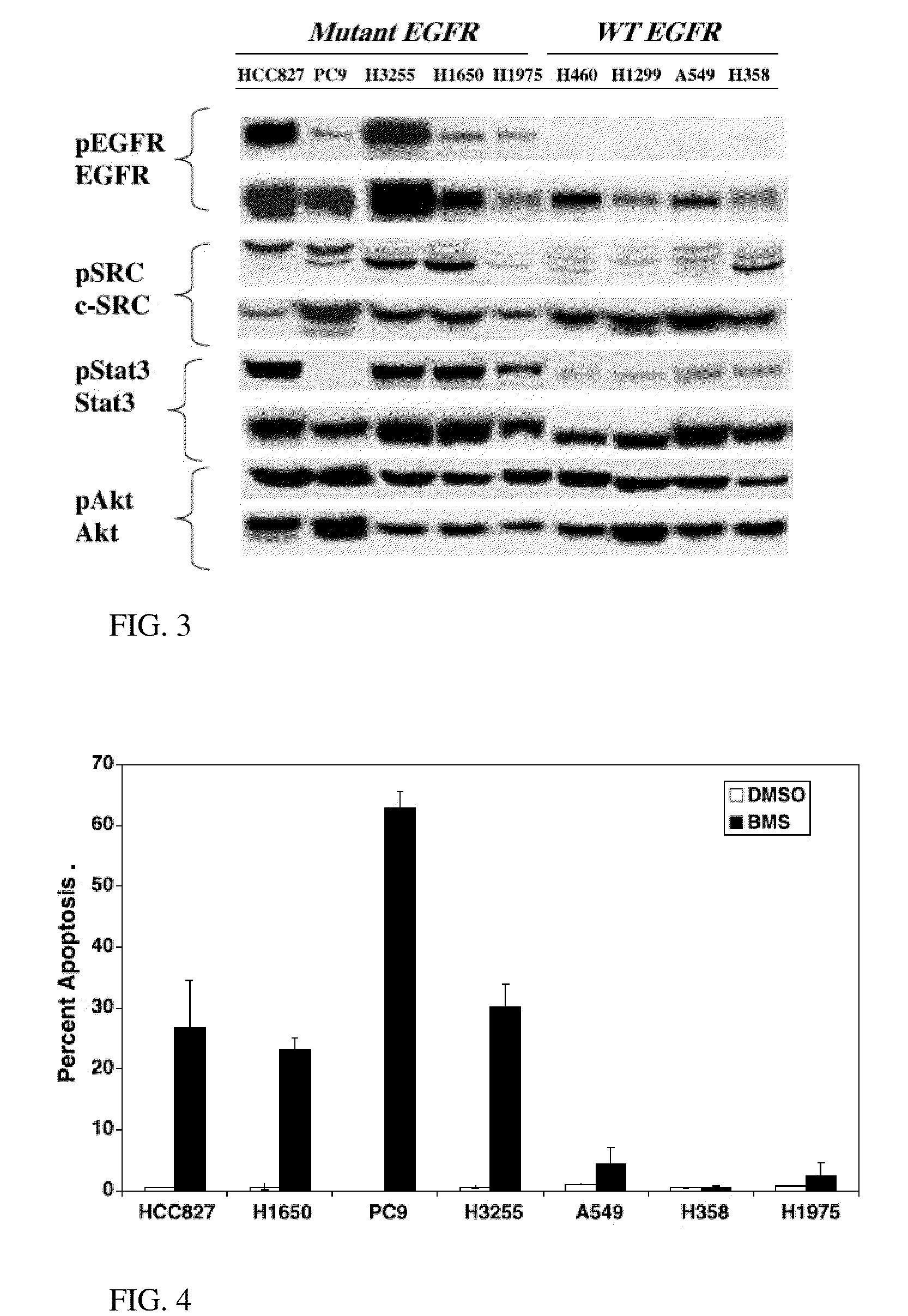 Identification of Biomarkers Predictive of Dasatinib Effects in Cancer Cells