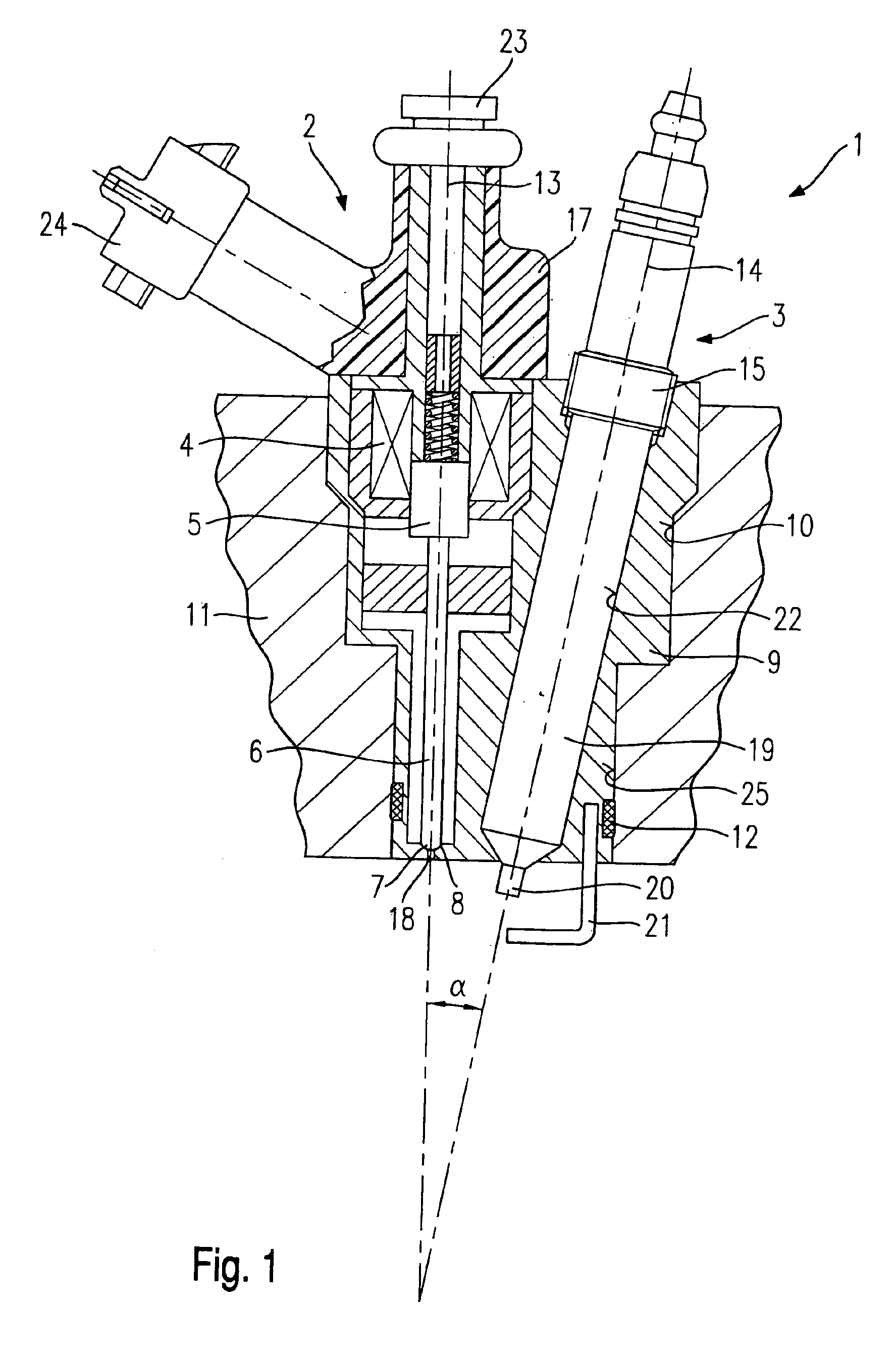 Combined fuel injection valve/ignition plug